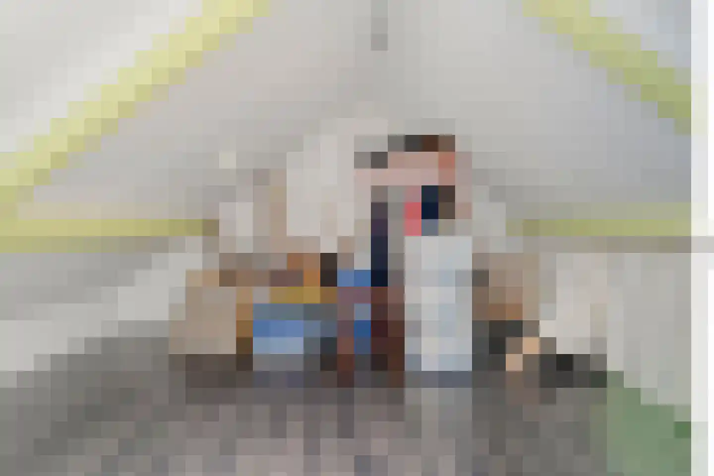Campherbeeklaan 79 Zwolle thumbnail 28