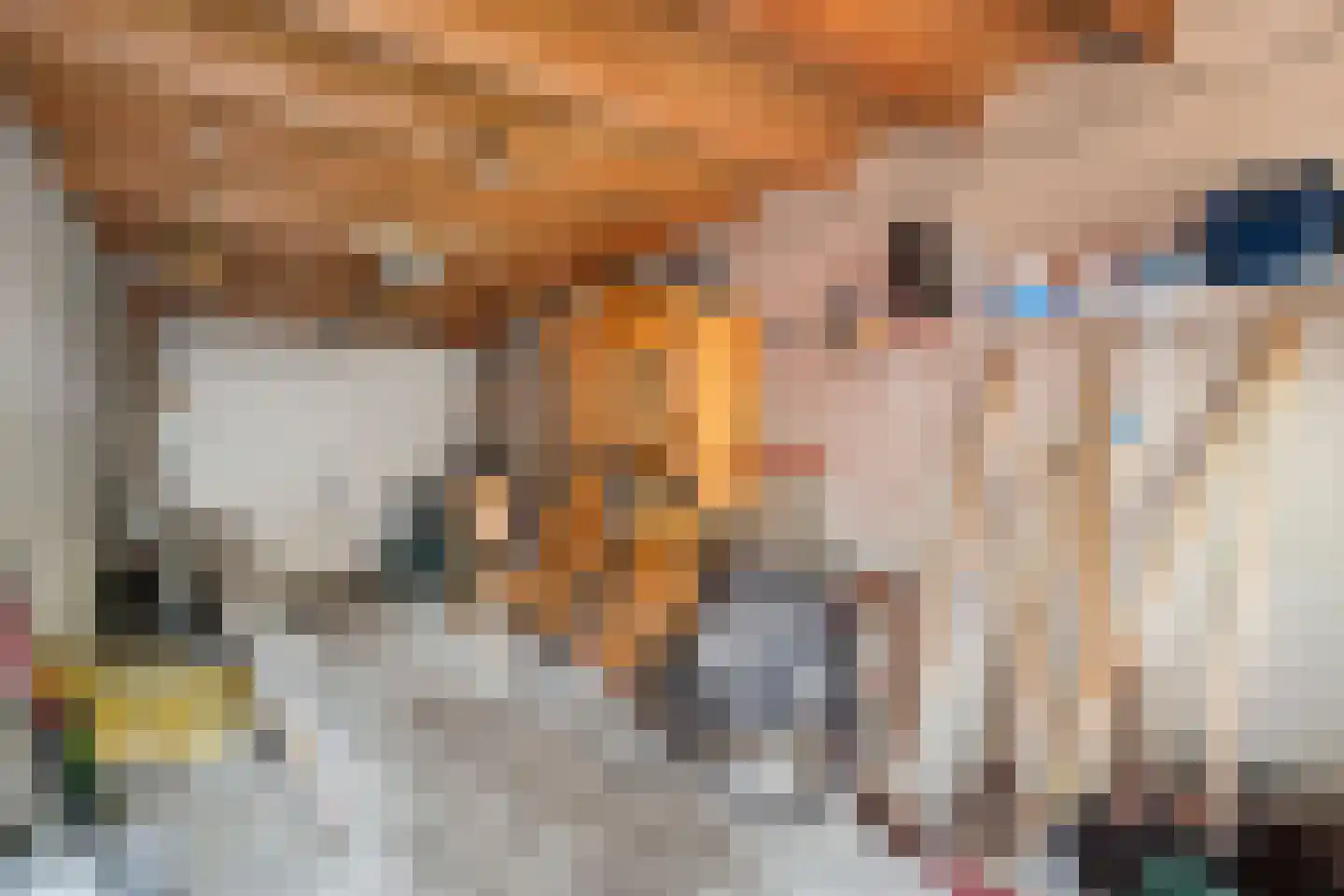Campherbeeklaan 79 Zwolle thumbnail 37