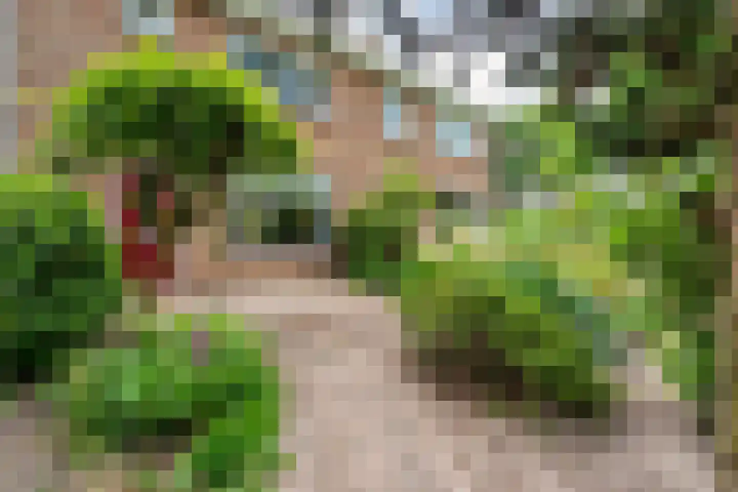 Campherbeeklaan 79 Zwolle thumbnail 4