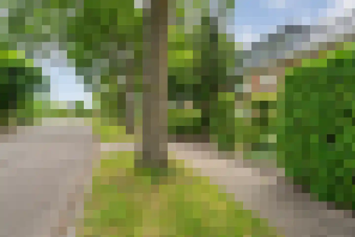Campherbeeklaan 79 Zwolle thumbnail 42