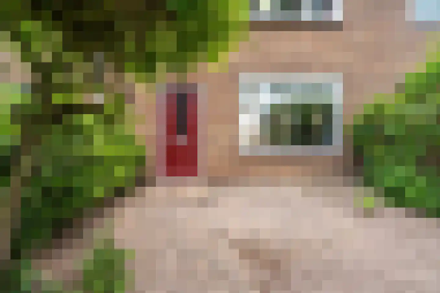 Campherbeeklaan 79 Zwolle thumbnail 44