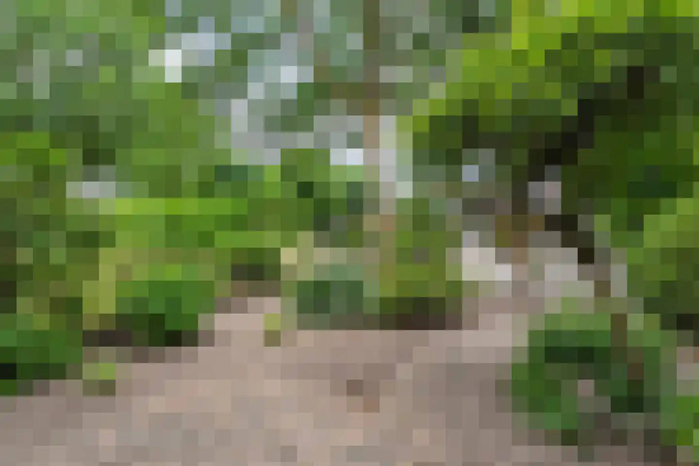 Campherbeeklaan 79 Zwolle thumbnail 45