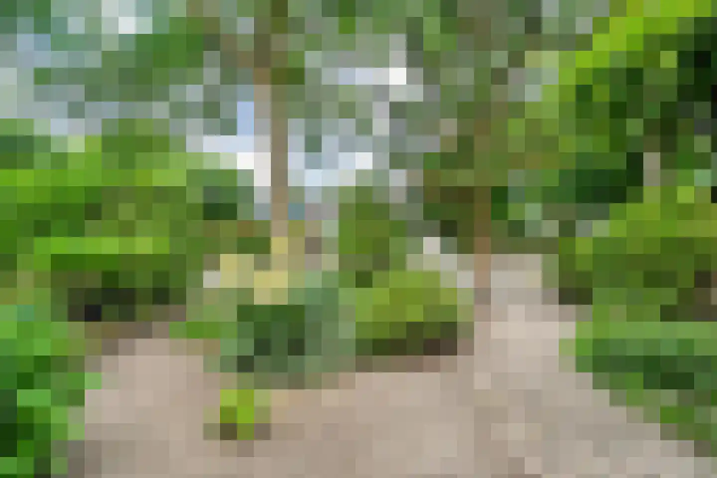 Campherbeeklaan 79 Zwolle thumbnail 46