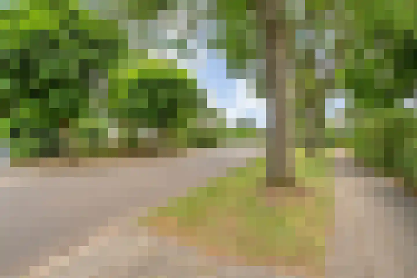 Campherbeeklaan 79 Zwolle thumbnail 48