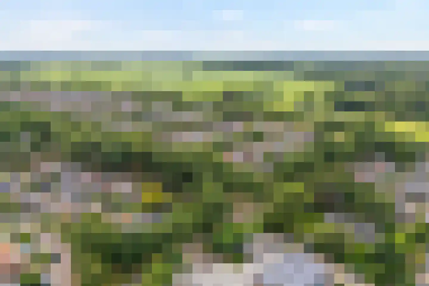 Campherbeeklaan 79 Zwolle thumbnail 51