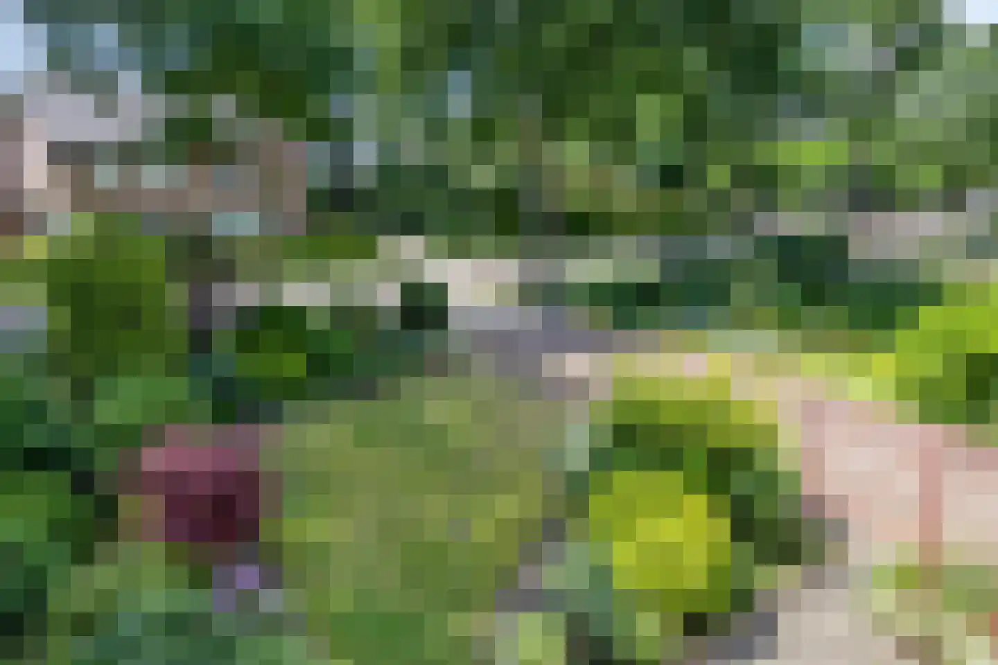 Campherbeeklaan 87 Zwolle thumbnail 18