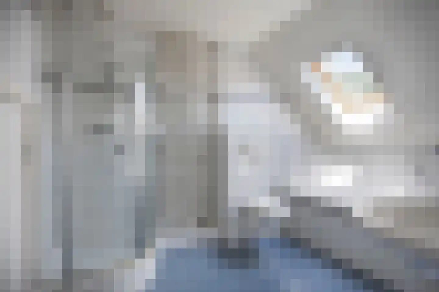 Campherbeeklaan 87 Zwolle thumbnail 22