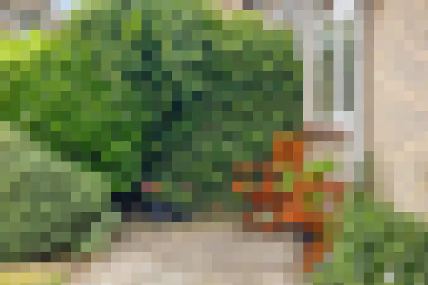 Campherbeeklaan 87 Zwolle thumbnail 30