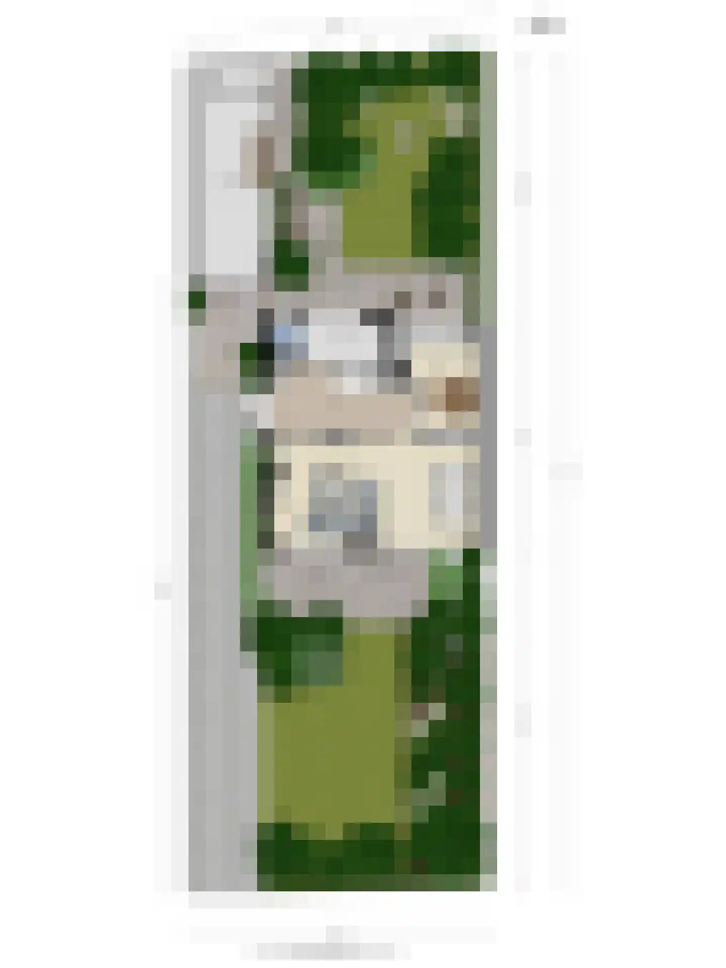 Campherbeeklaan 87 Zwolle thumbnail 36