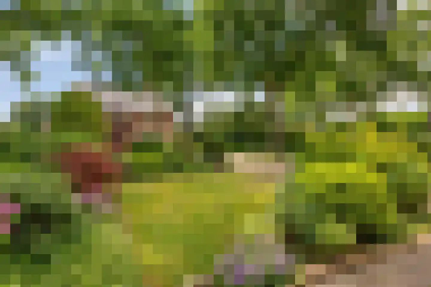 Campherbeeklaan 87 Zwolle thumbnail 9