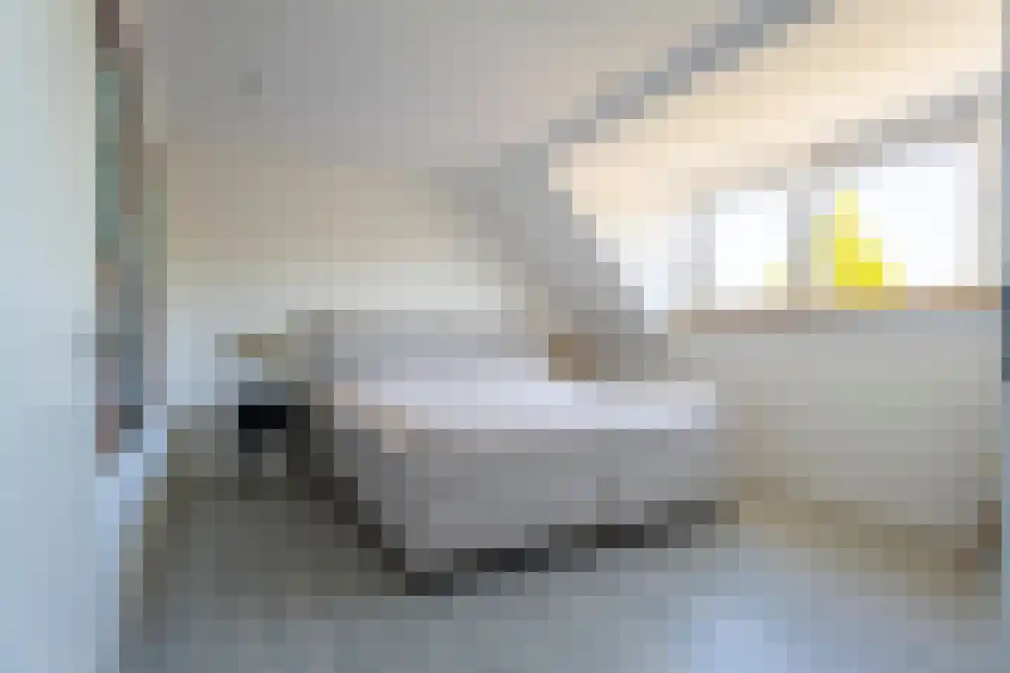 Camphuijsenstraat 12 Rijnsburg thumbnail 31