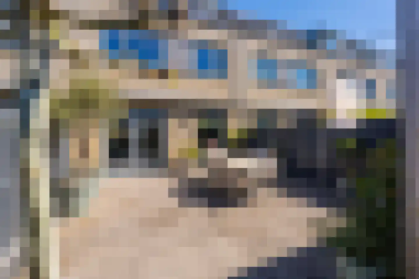 Camphuijsenstraat 12 Rijnsburg thumbnail 38