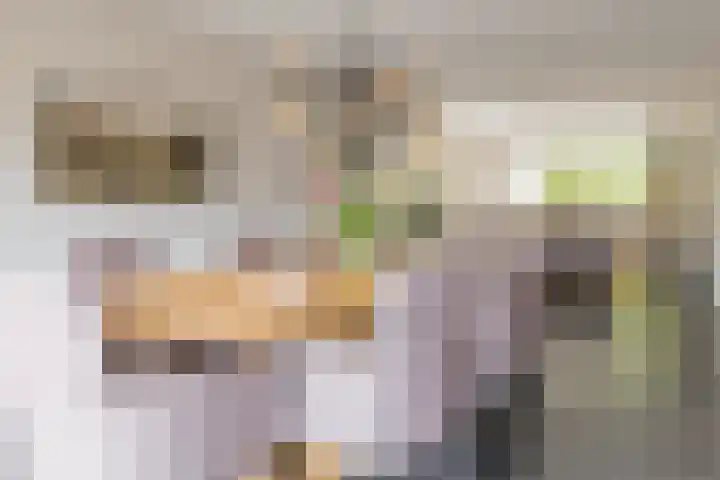 Camphuijsenstraat 17 Rijnsburg thumbnail 18