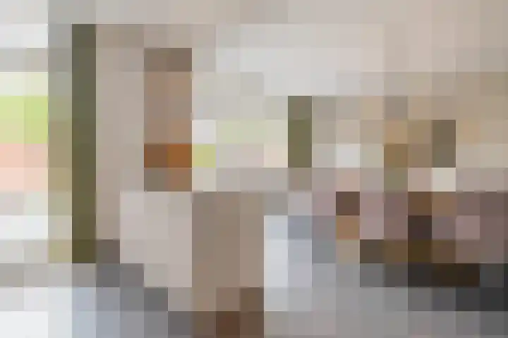 Camphuijsenstraat 17 Rijnsburg thumbnail 22