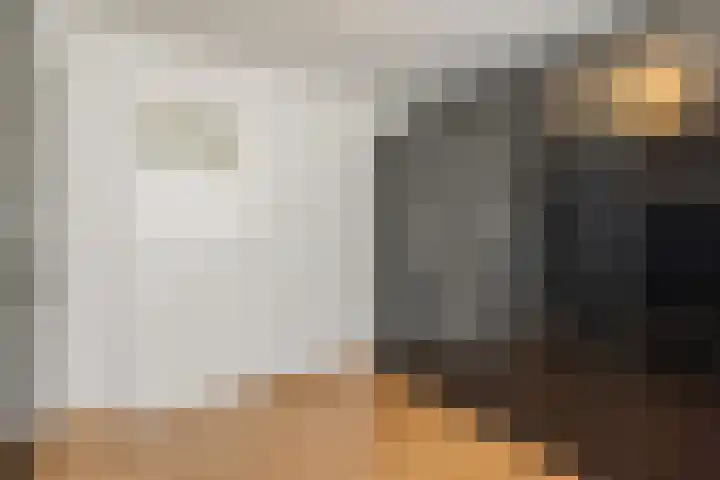 Camphuijsenstraat 17 Rijnsburg thumbnail 27