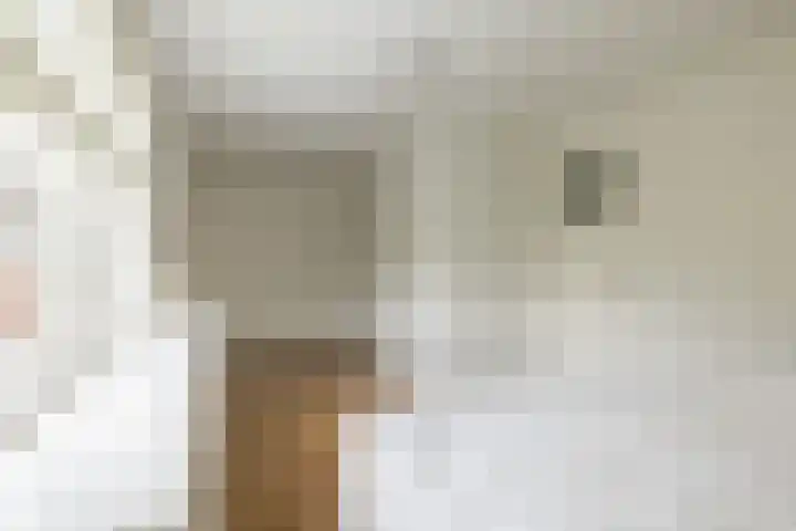 Camphuijsenstraat 17 Rijnsburg thumbnail 29