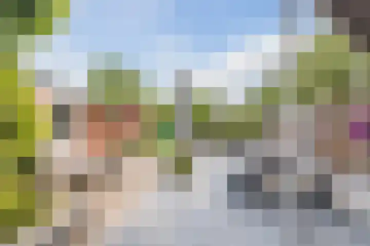 Camphuijsenstraat 17 Rijnsburg thumbnail 4