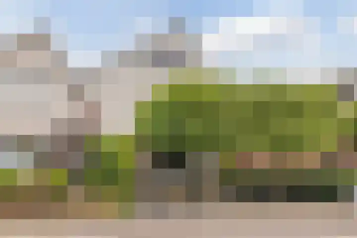 Camphuijsenstraat 17 Rijnsburg thumbnail 48
