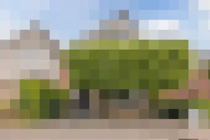 Camphuijsenstraat 17 Rijnsburg thumbnail 5