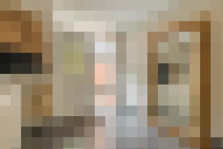 Camphuijsenstraat 17 Rijnsburg thumbnail 7