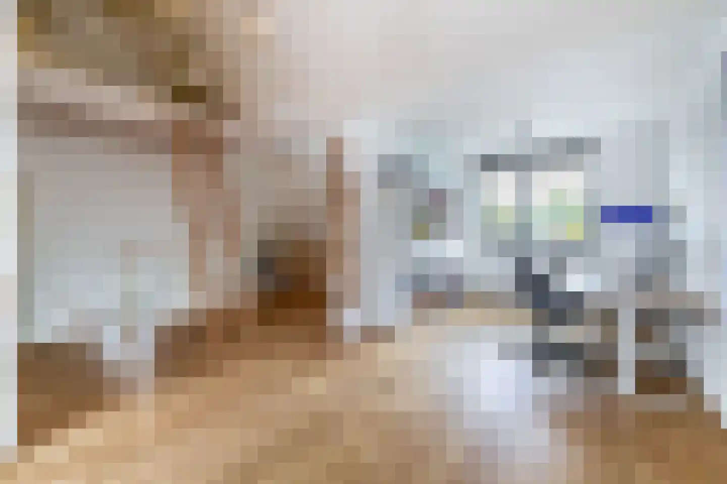 Camphuijsenstraat 2 Rijnsburg thumbnail 32