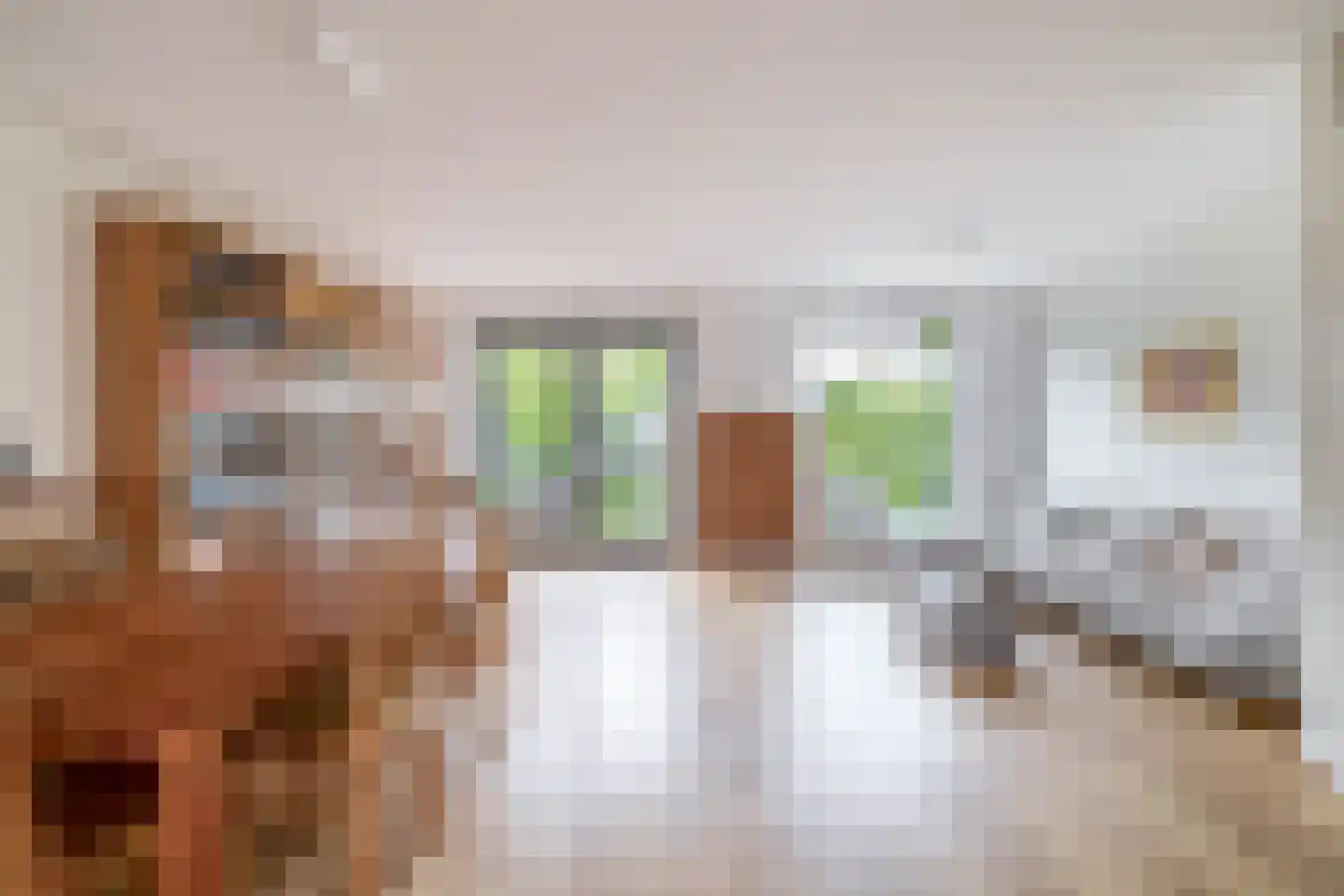 Camphuijsenstraat 2 Rijnsburg thumbnail 4