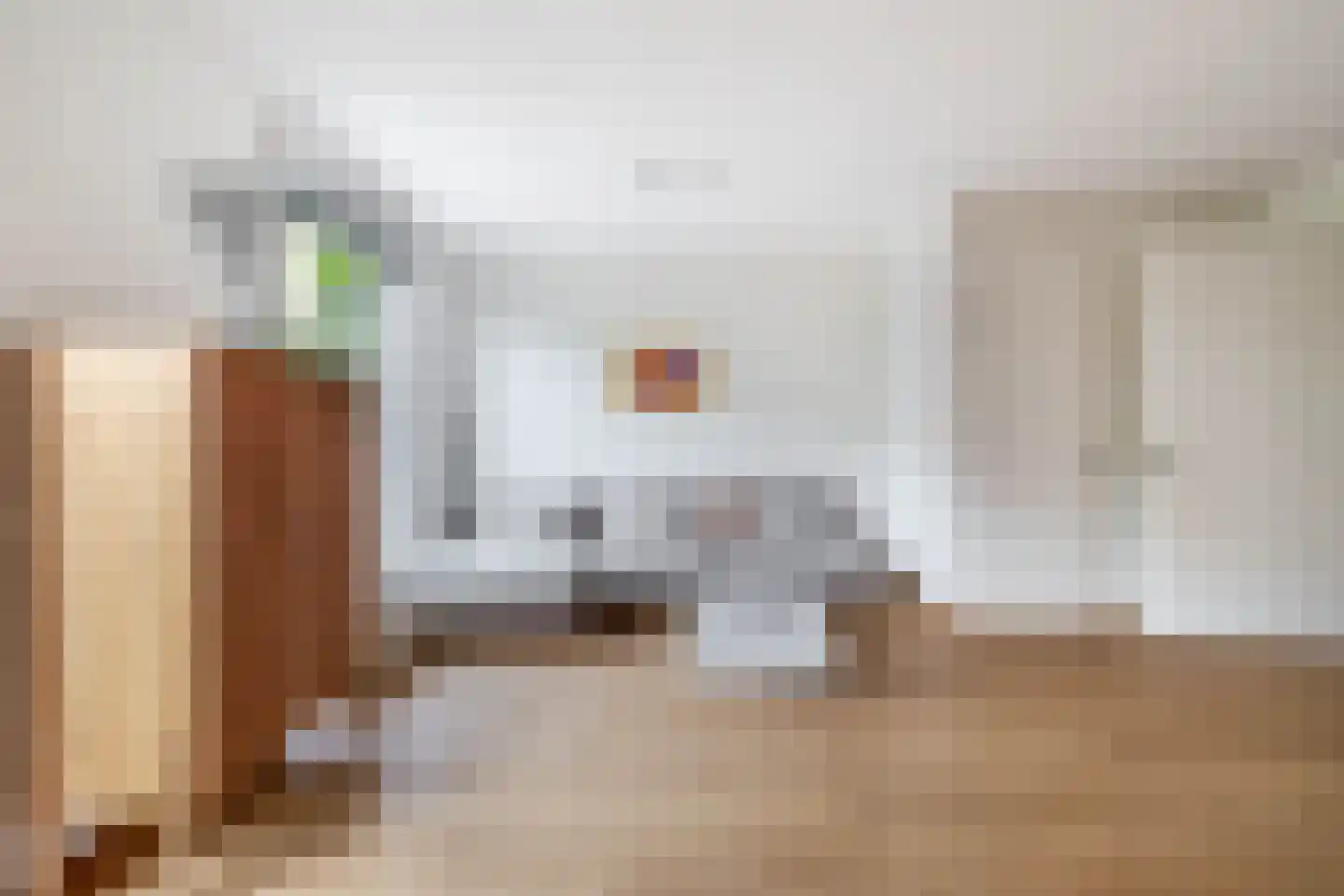 Camphuijsenstraat 2 Rijnsburg thumbnail 6