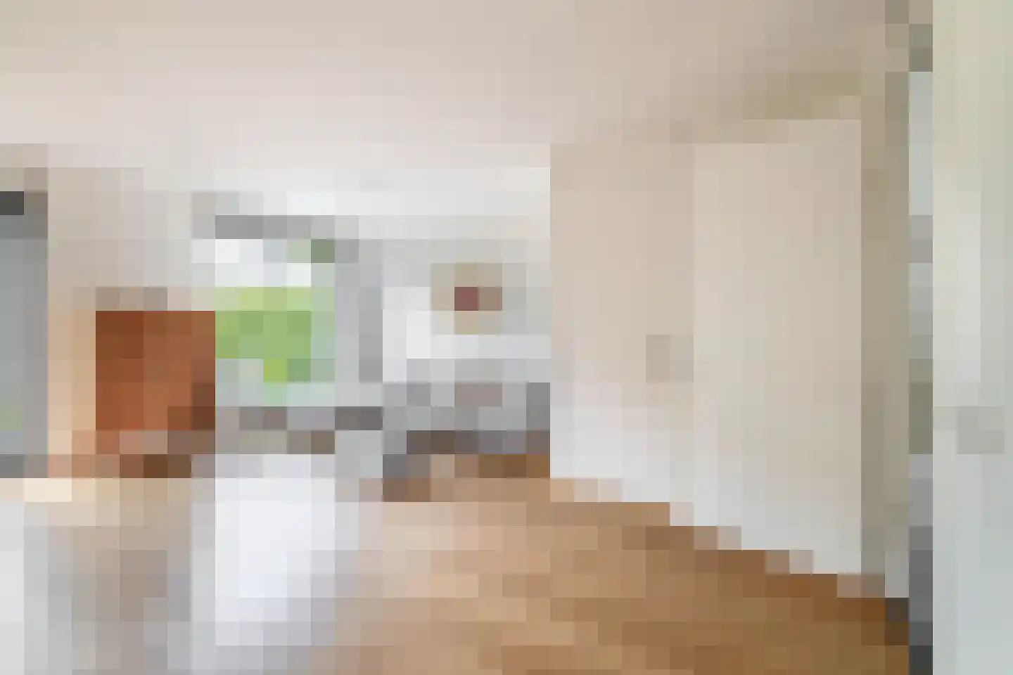 Camphuijsenstraat 2 Rijnsburg thumbnail 7
