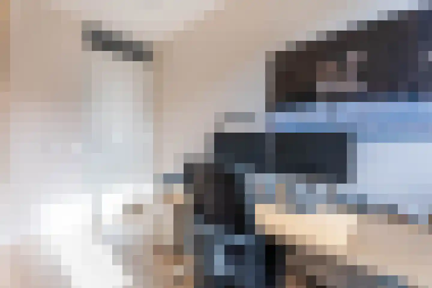 Camphuijsenstraat 6 Rijnsburg thumbnail 18