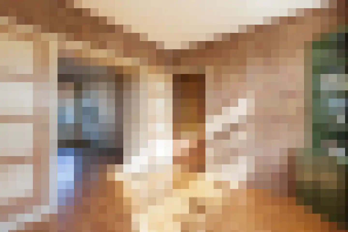 Camphuijzenstraat 42 Dordrecht thumbnail 8