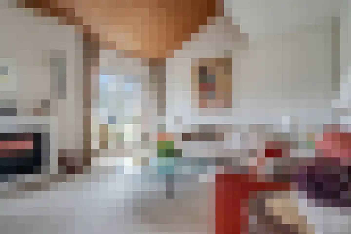 Camphuysen 1 Roden thumbnail 16