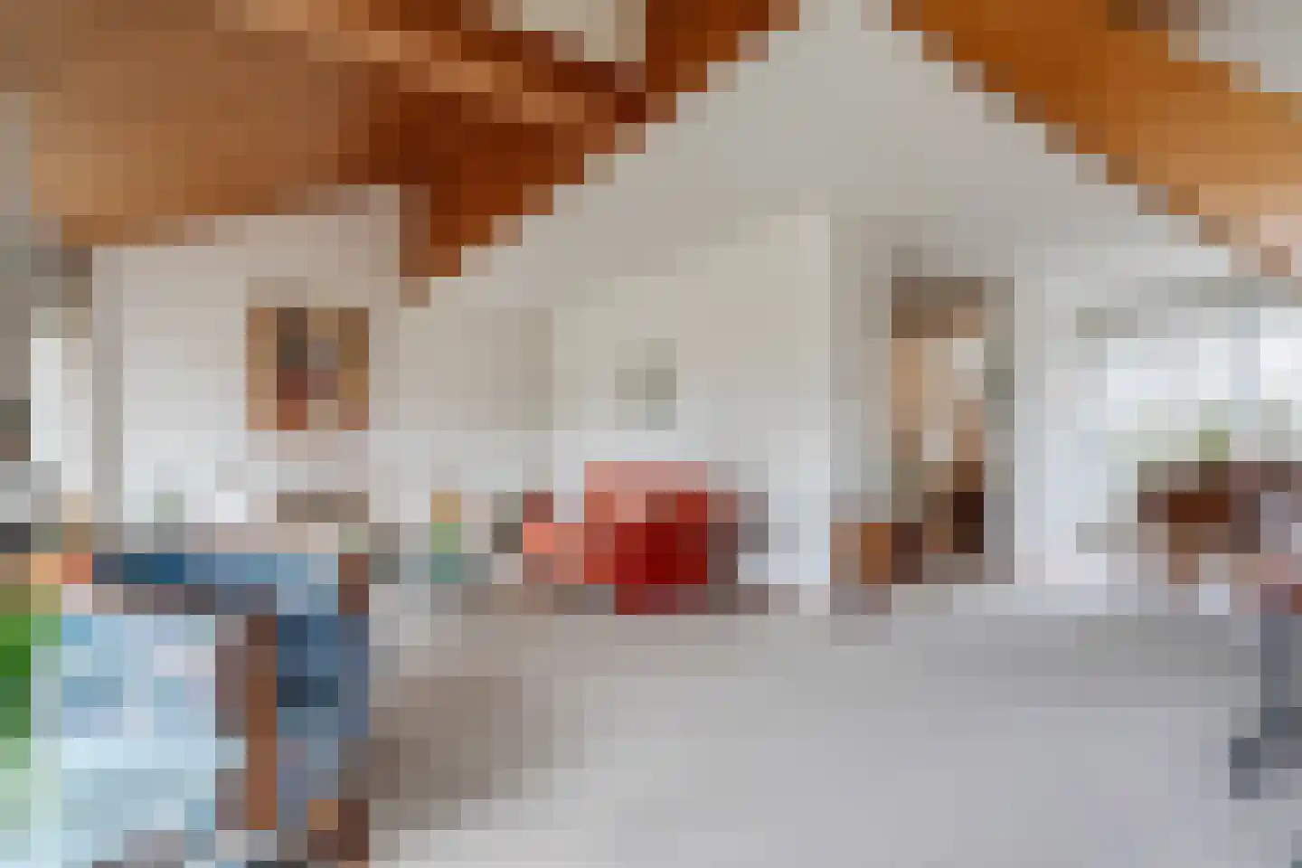 Camphuysen 1 Roden thumbnail 17