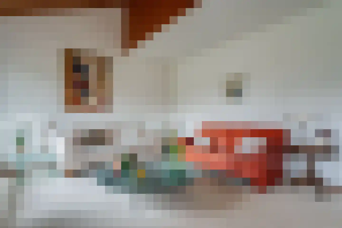Camphuysen 1 Roden thumbnail 18