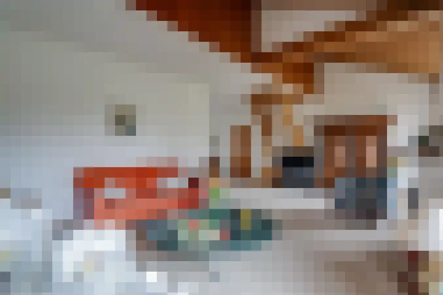 Camphuysen 1 Roden thumbnail 20