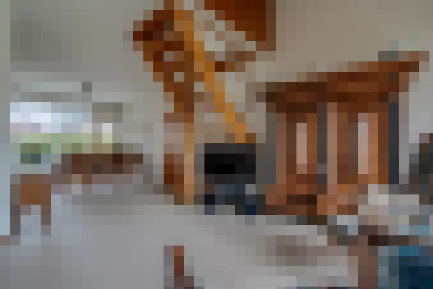 Camphuysen 1 Roden thumbnail 21