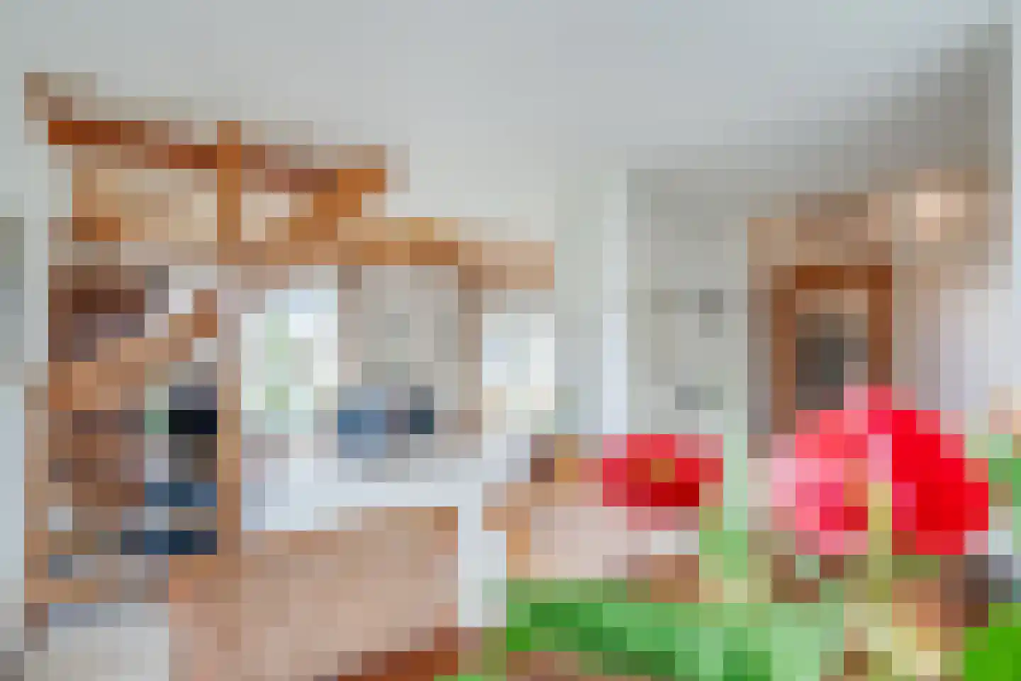 Camphuysen 1 Roden thumbnail 24