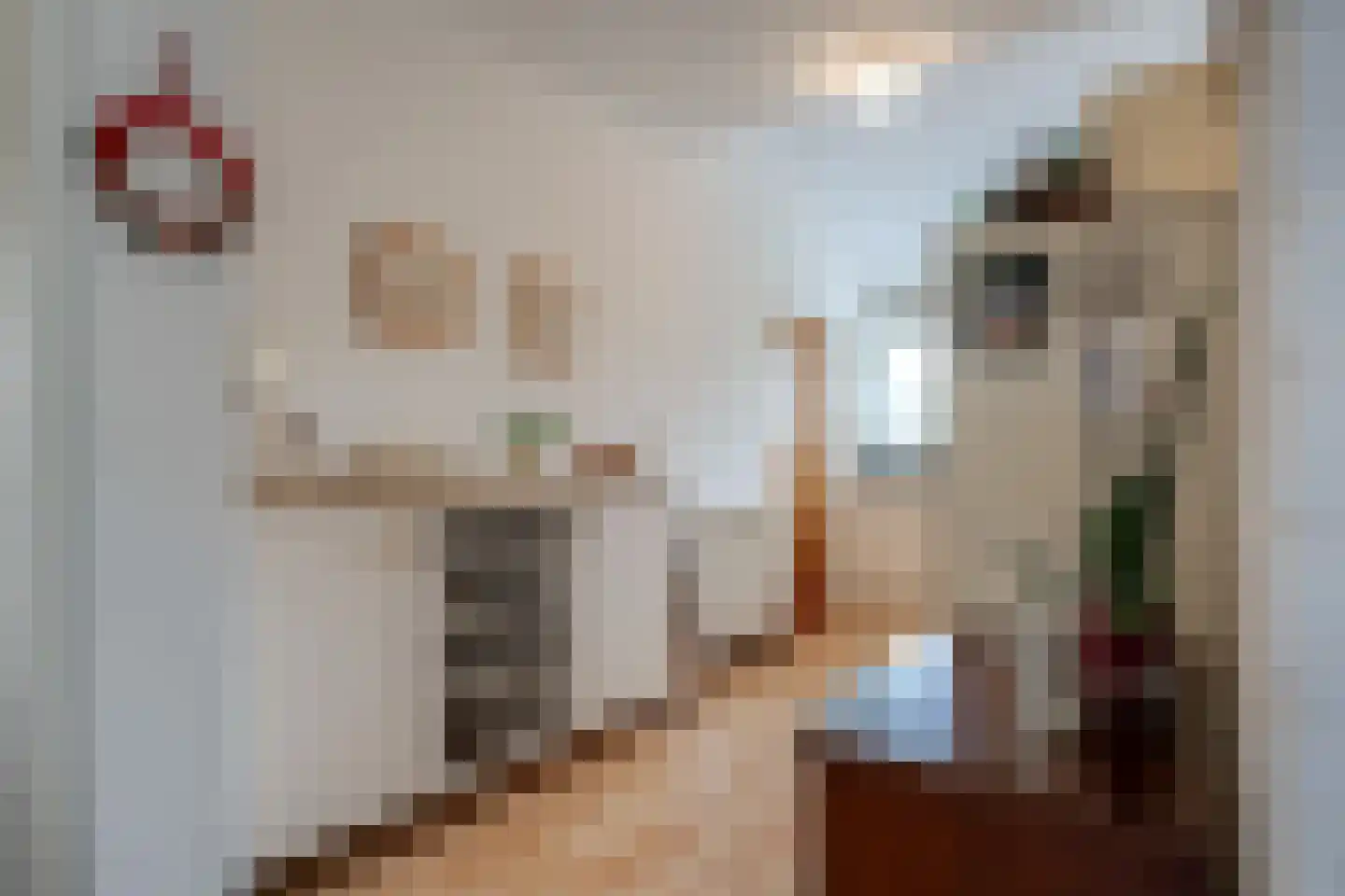 Camphuysen 1 Roden thumbnail 25