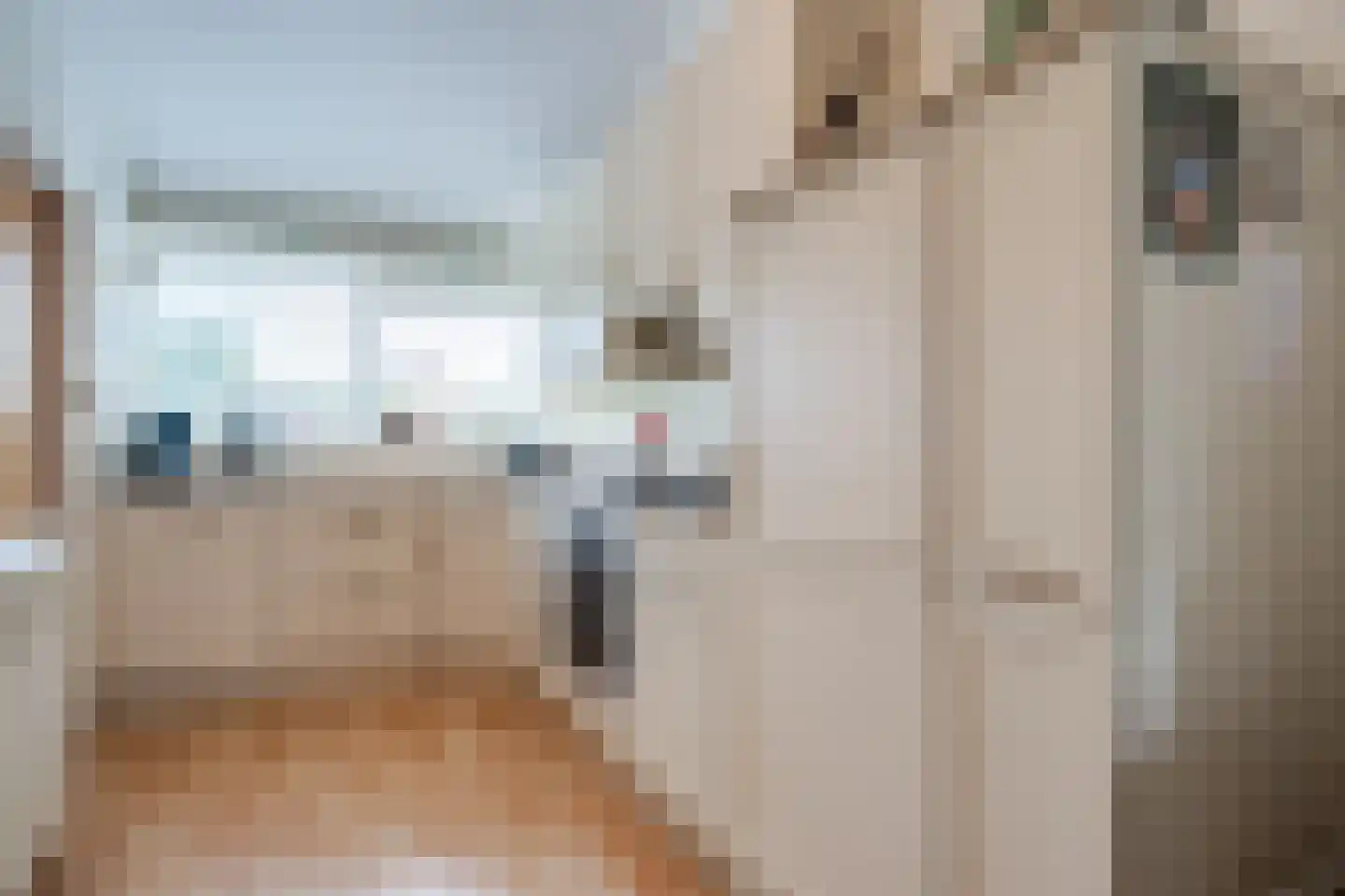 Camphuysen 1 Roden thumbnail 26