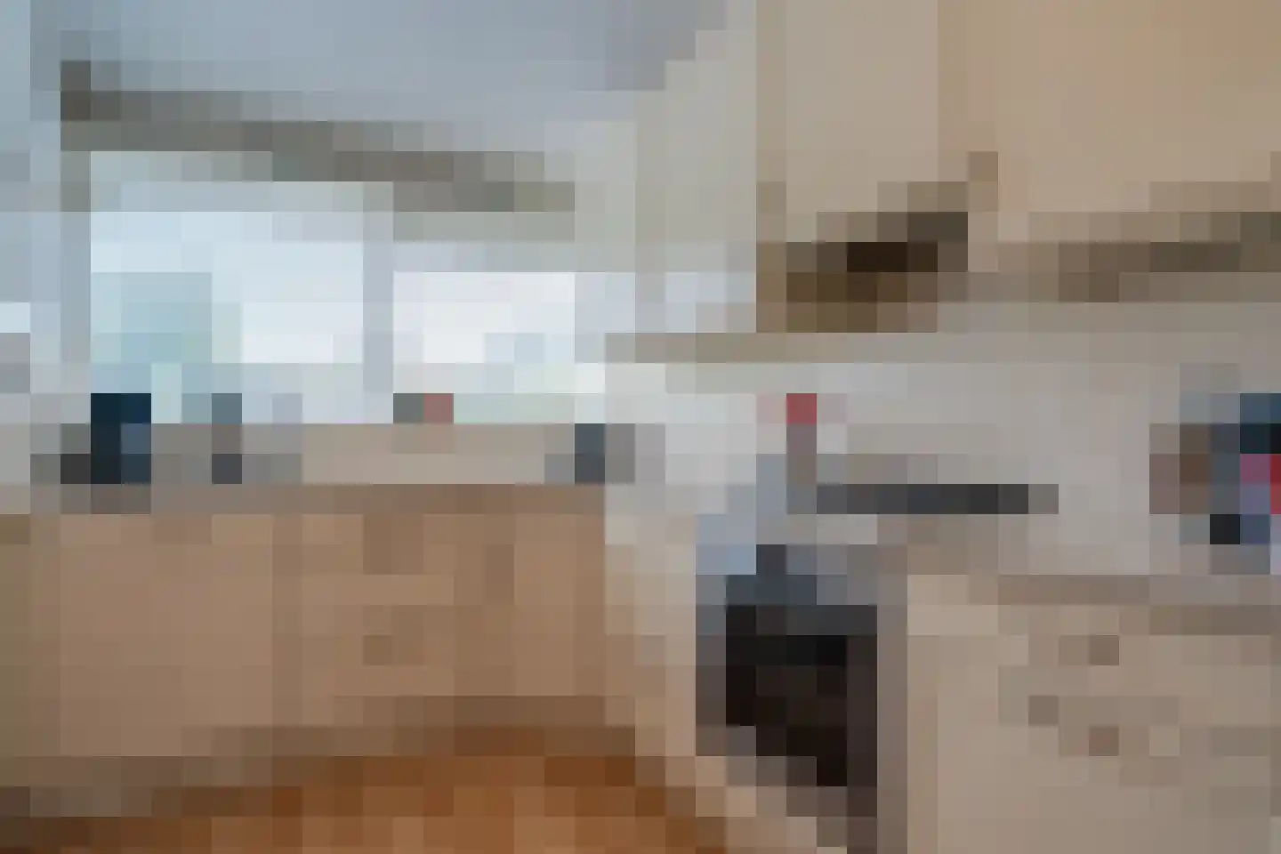Camphuysen 1 Roden thumbnail 27
