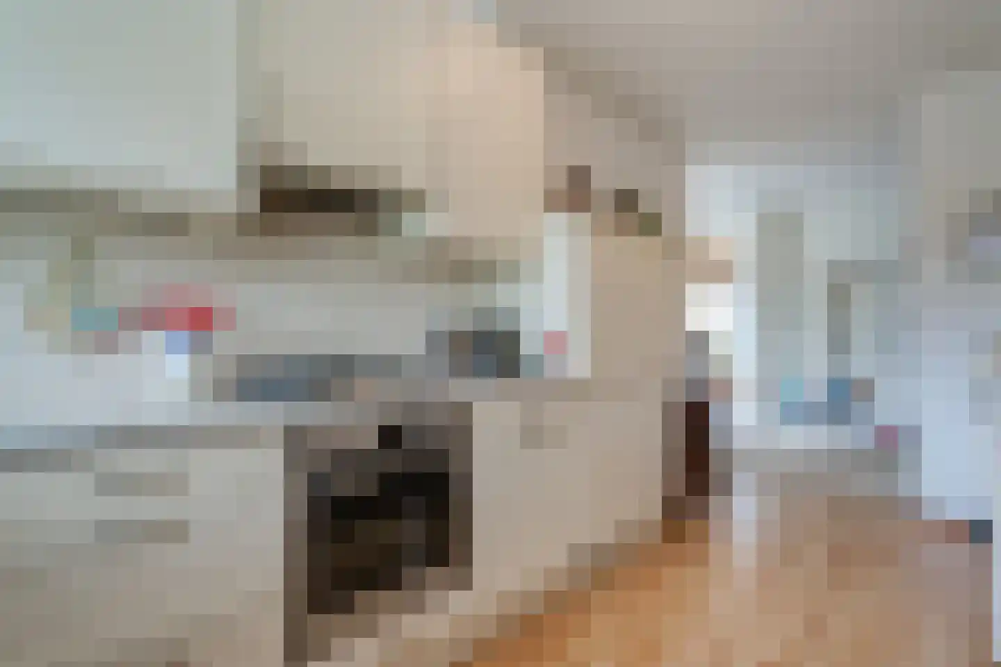 Camphuysen 1 Roden thumbnail 28