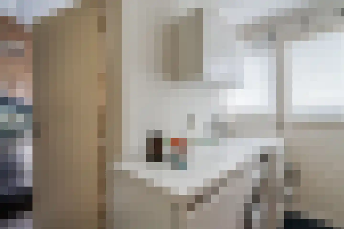 Camphuysen 1 Roden thumbnail 29