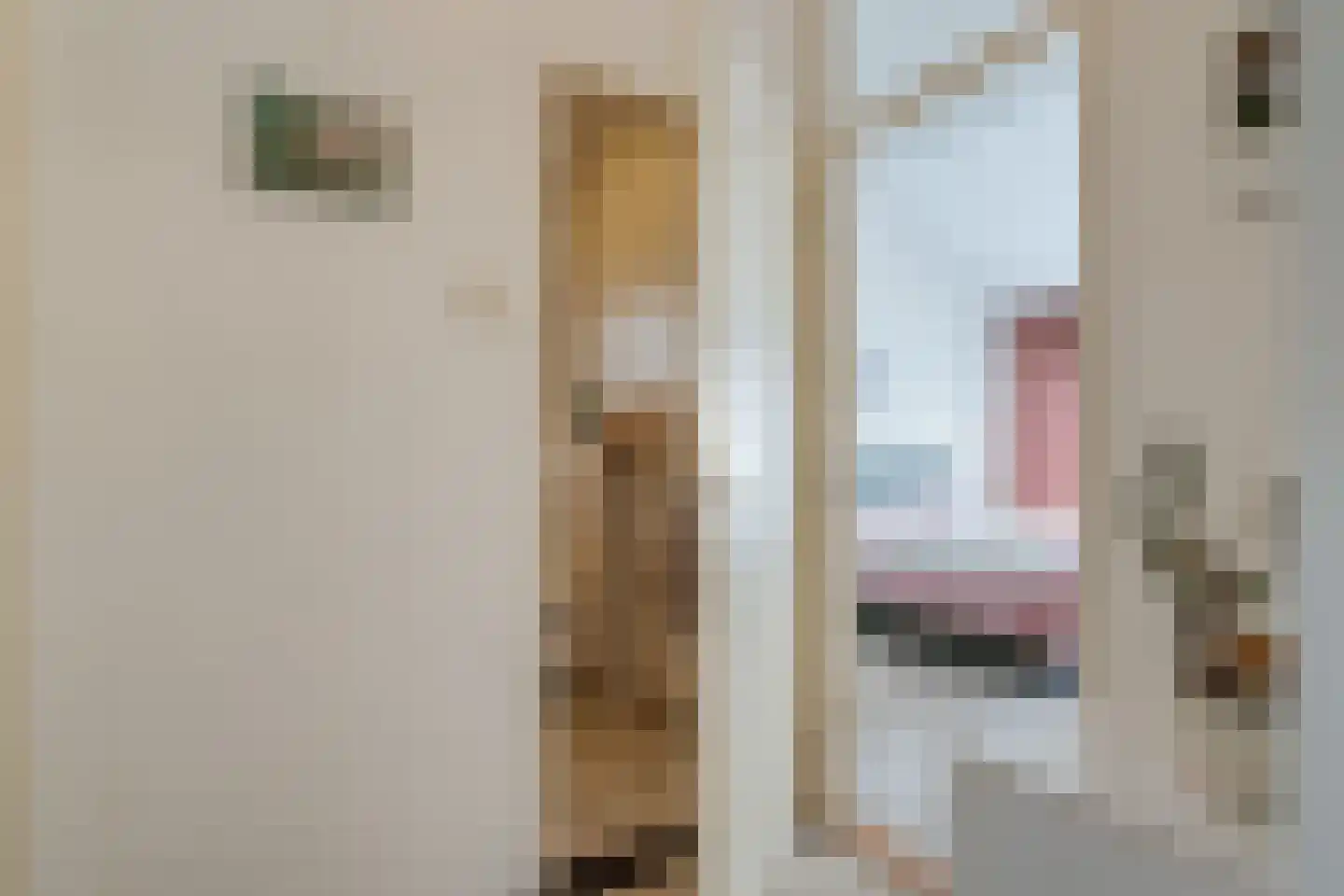 Camphuysen 1 Roden thumbnail 31