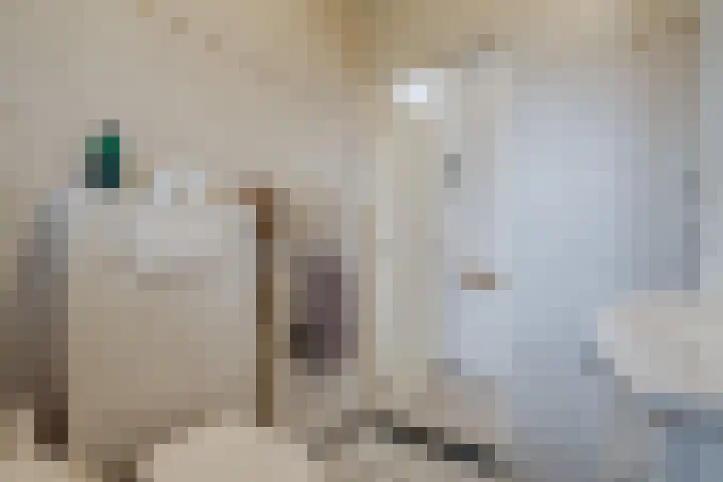 Camphuysen 1 Roden thumbnail 36
