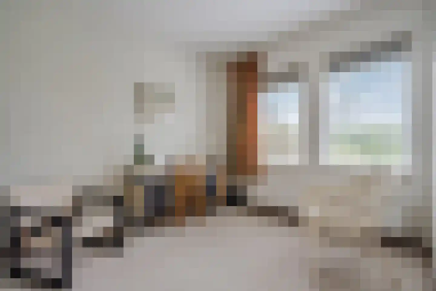 Camphuysen 1 Roden thumbnail 37