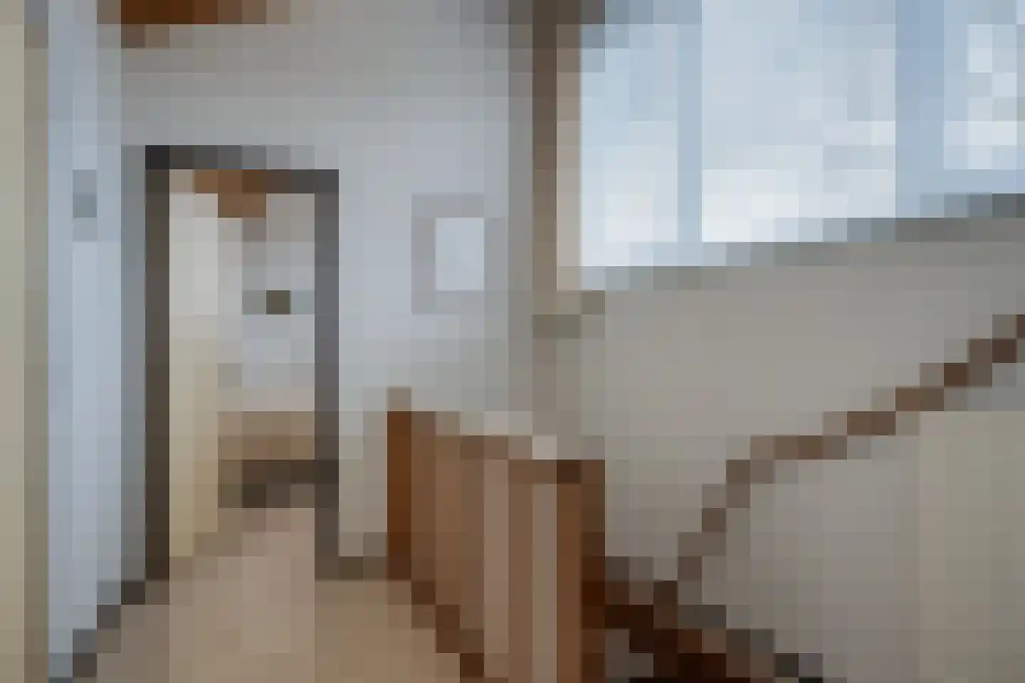 Camphuysen 1 Roden thumbnail 38