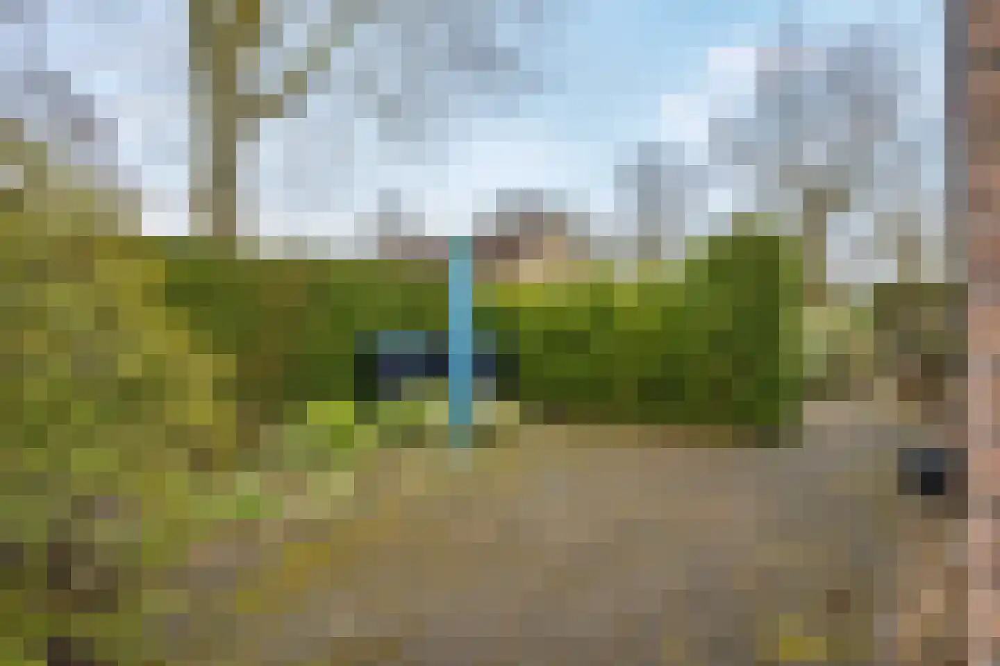 Camphuysen 1 Roden thumbnail 46