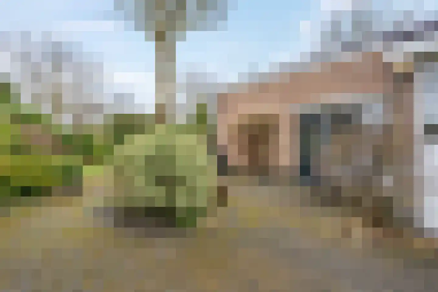 Camphuysen 1 Roden thumbnail 48