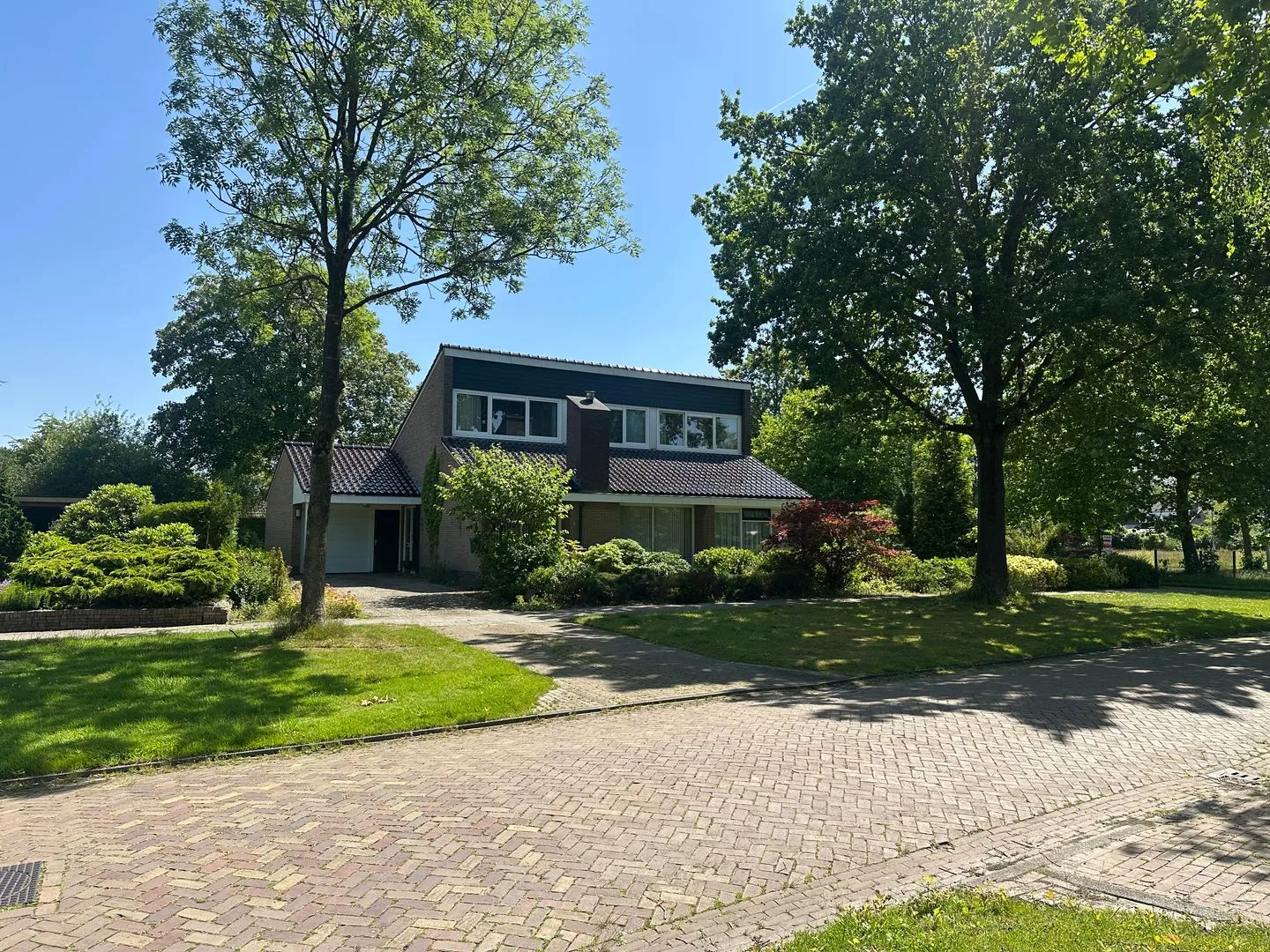 Camphuysen 1 Roden thumbnail 5