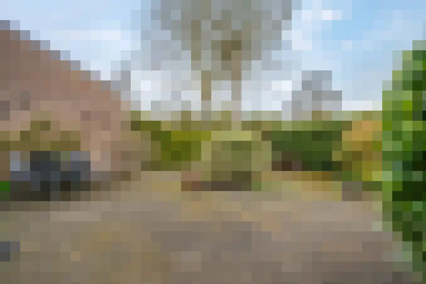 Camphuysen 1 Roden thumbnail 50