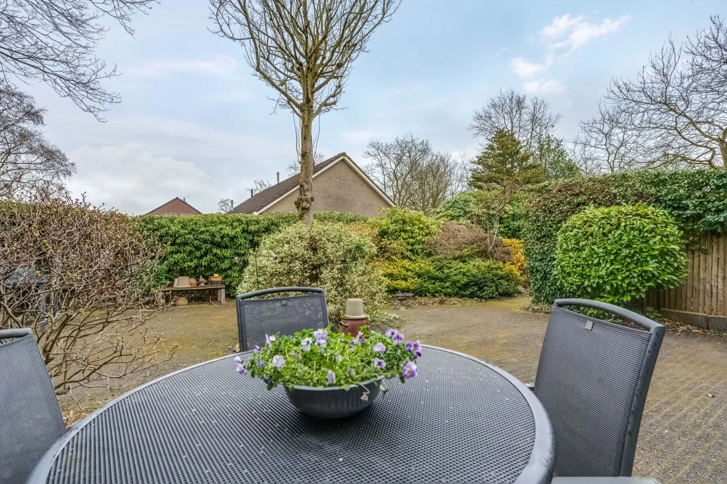 Camphuysen 1 Roden thumbnail 51